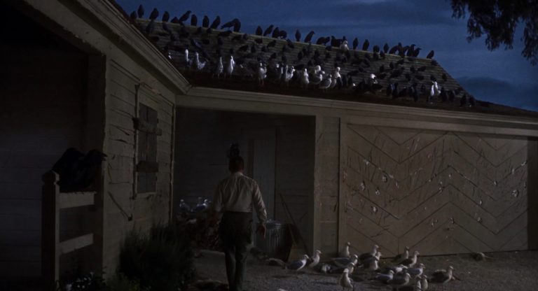 Szenenausschnitt aus Alfred Hitchcocks Film "Die Vögel"